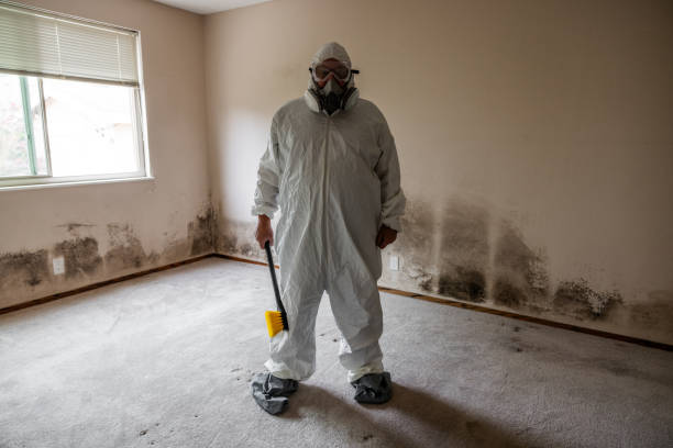 Best Residential Mold Removal  in Port Wentworth, GA
